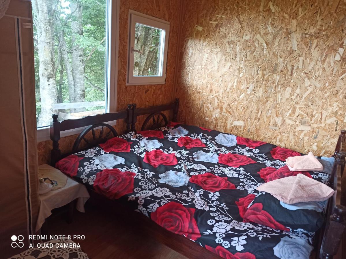 Katun Ljeljenak Hotel Plužine Buitenkant foto