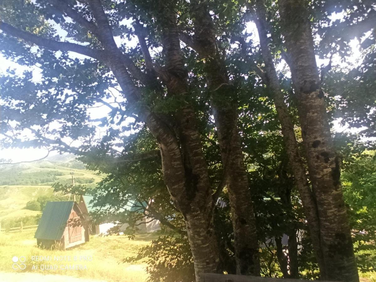 Katun Ljeljenak Hotel Plužine Buitenkant foto