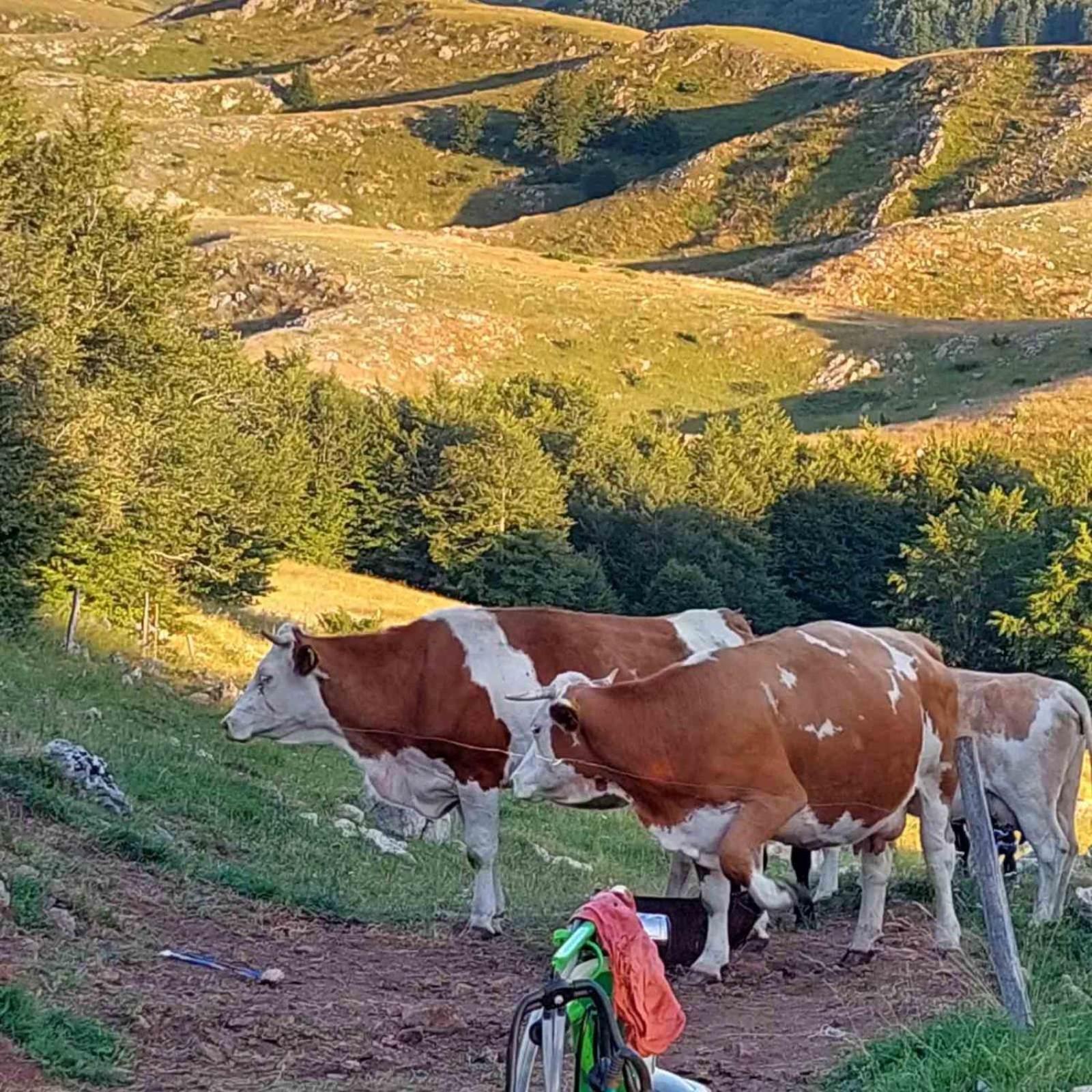Katun Ljeljenak Hotel Plužine Buitenkant foto