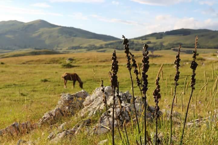 Katun Ljeljenak Hotel Plužine Buitenkant foto
