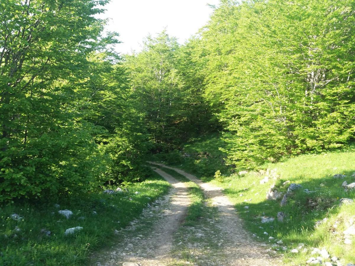 Katun Ljeljenak Hotel Plužine Buitenkant foto