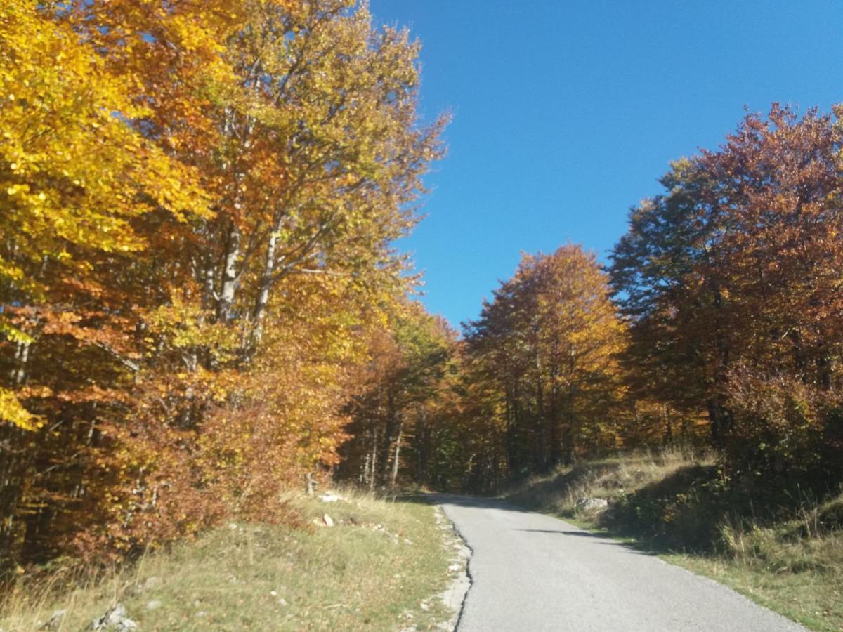 Katun Ljeljenak Hotel Plužine Buitenkant foto