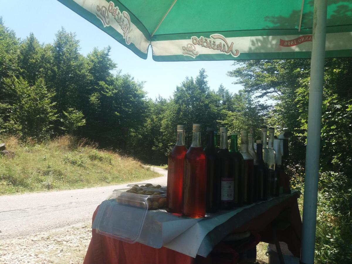 Katun Ljeljenak Hotel Plužine Buitenkant foto