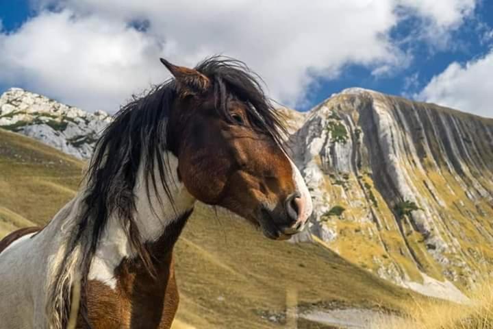 Katun Ljeljenak Hotel Plužine Buitenkant foto